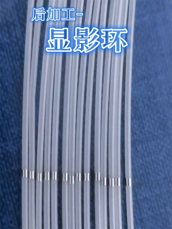  显影环